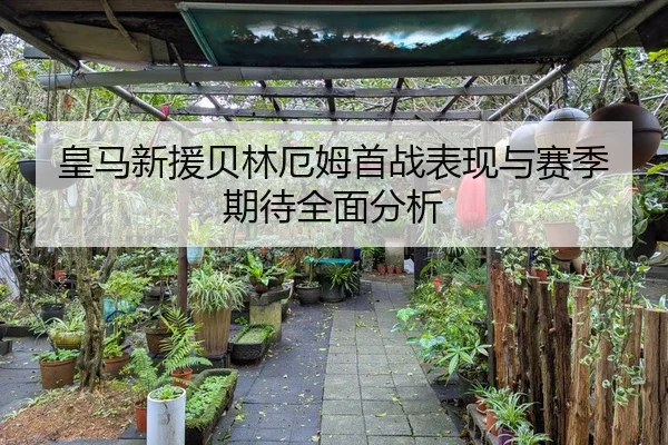 皇马新援贝林厄姆首战表现与赛季期待全面分析